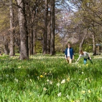 Christchurch Hagley Park