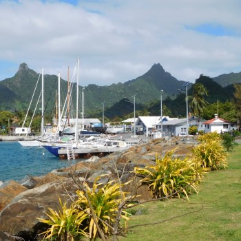 cruise from auckland to cook islands