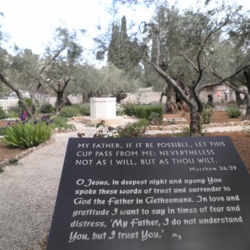 Jerusalem - Gethsemane