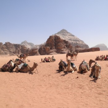 Jordan. Wadi Rum