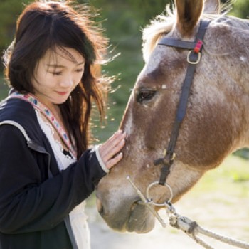 Queenstown. Horse trekkiing