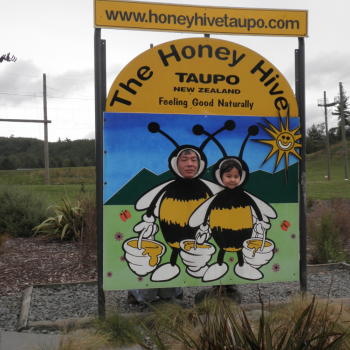 Honey Hive - busy bees!