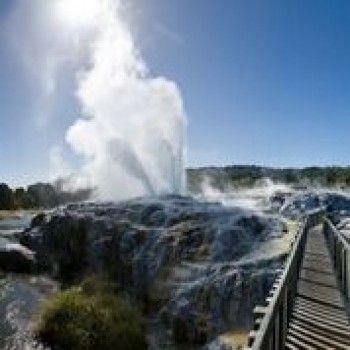 Te Puia - Pohutu geyser