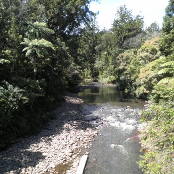 Waipoua River