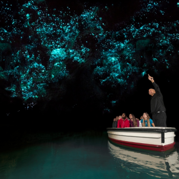 Waitomo Glowworm Cave