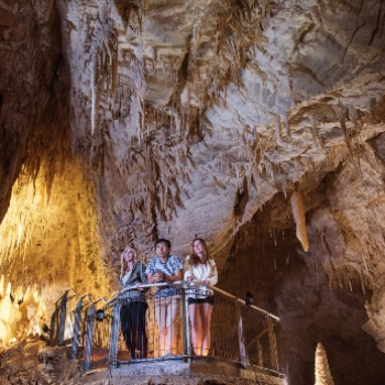 Ruakuri cave